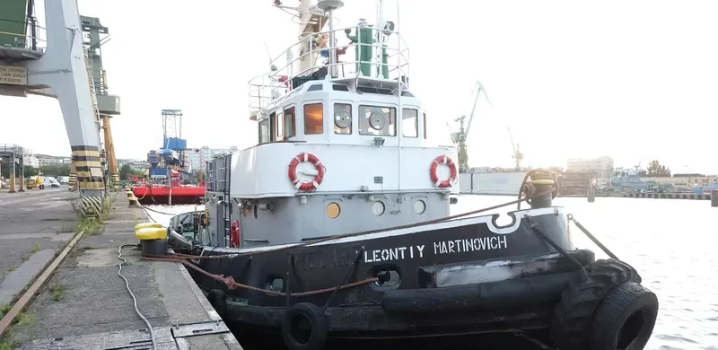 LEONTIY MARTINOVICH General Cargo IMO 7734727 photo 8