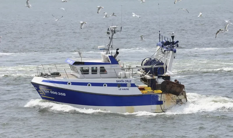 SANTA CRUZ General Cargo IMO 7736268