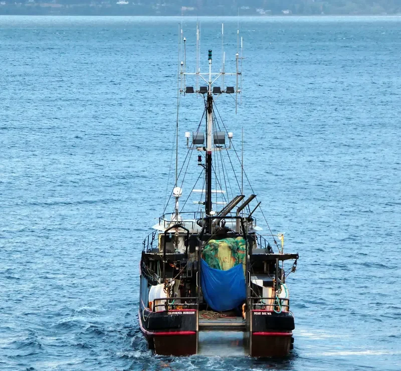 CALIFORNIA HORIZON Fishing Vessel IMO 7739193 photo 2