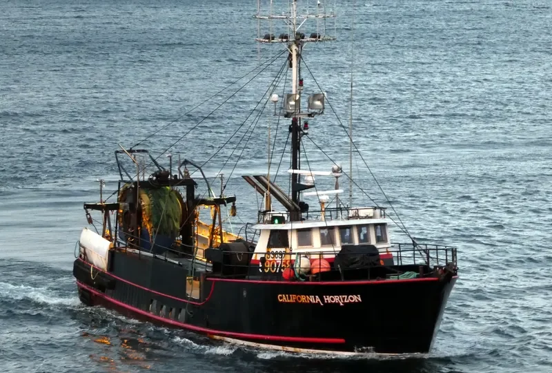 CALIFORNIA HORIZON Fishing Vessel IMO 7739193 photo 3