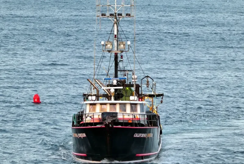 CALIFORNIA HORIZON Fishing Vessel IMO 7739193 photo 4