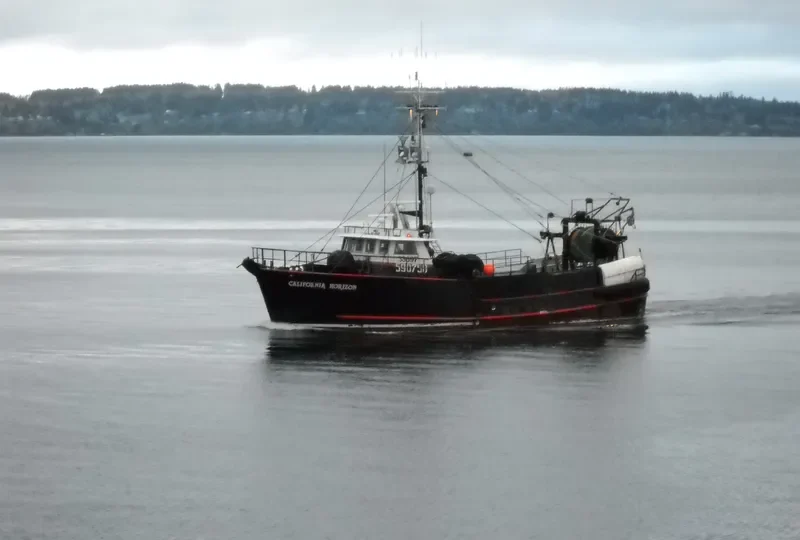 CALIFORNIA HORIZON Fishing Vessel IMO 7739193 photo 8