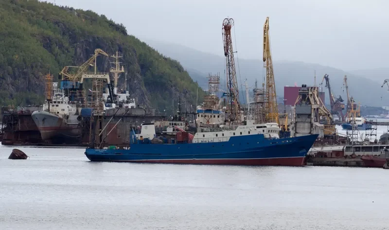 DALNIE ZELENTSY General Cargo IMO 7740477 photo 3