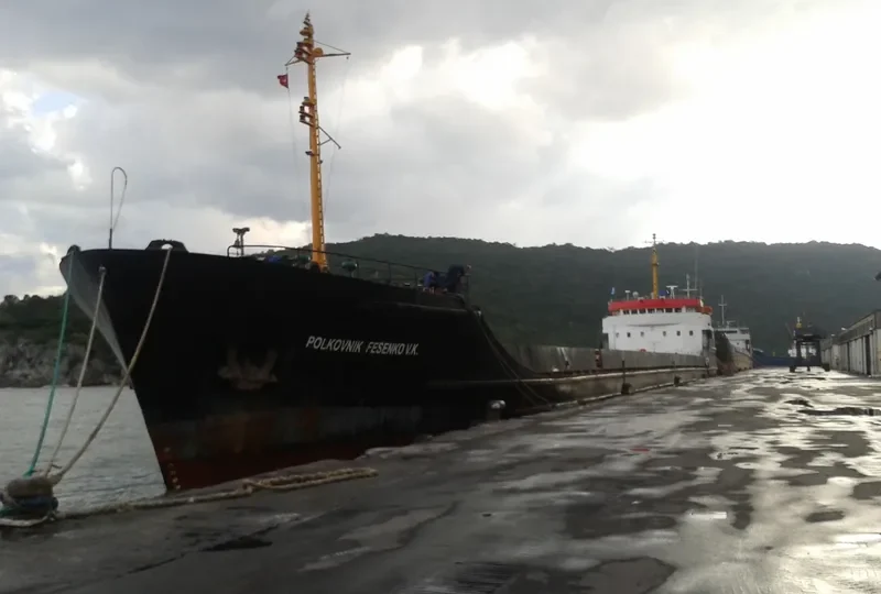 POLKOVNIK FESENKO V.K. General Cargo IMO 7740491 photo 4