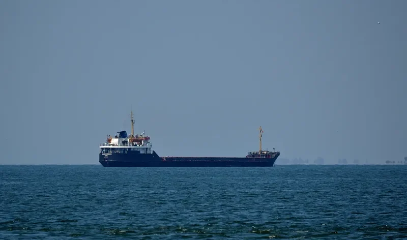 POLKOVNIK FESENKO V.K. General Cargo IMO 7740491 photo 7