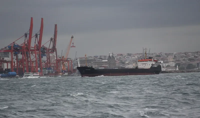 POLKOVNIK FESENKO V.K. General Cargo IMO 7740491 photo 10