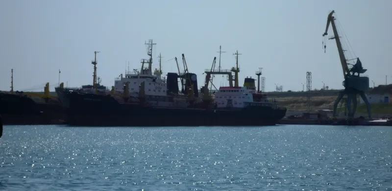 MAKSIM General Cargo IMO 7740556