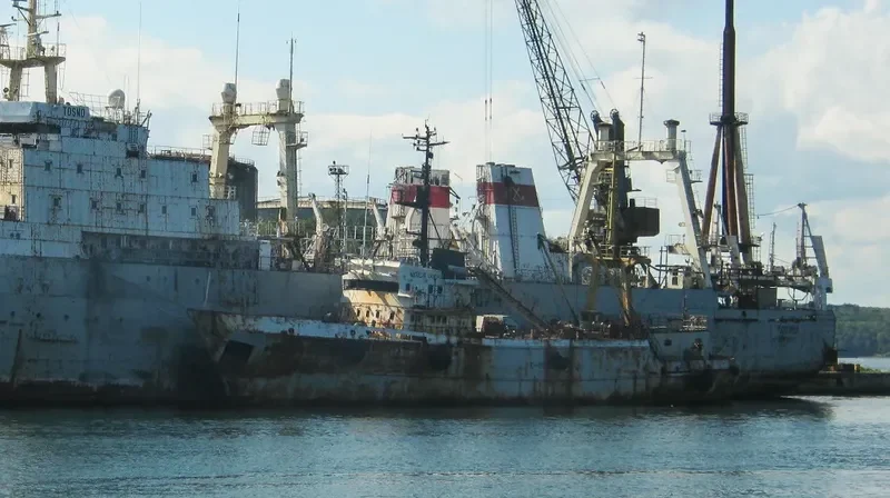 NATALYA General Cargo IMO 7740647 photo 2