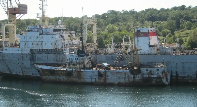 NATALYA General Cargo IMO 7740647 photo 3