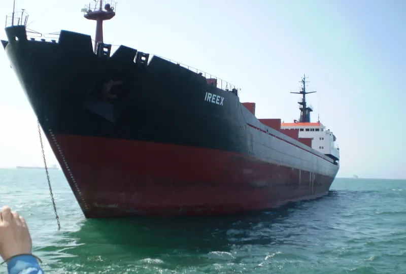 IREEX Bulk Carrier IMO 7740972 photo 2