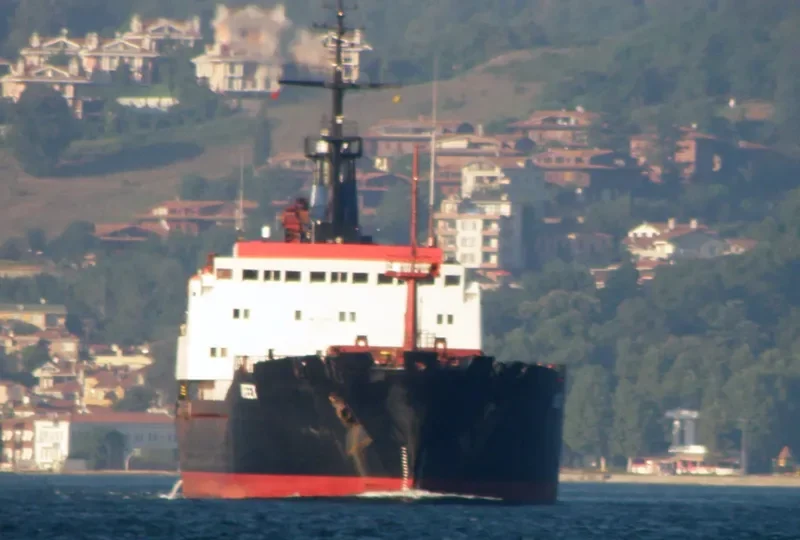 IREEX Bulk Carrier IMO 7740972 photo 3