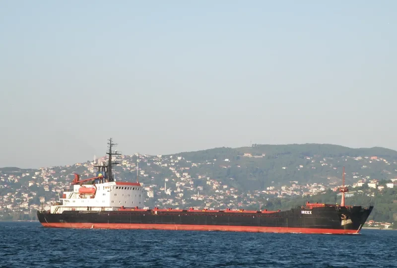 IREEX Bulk Carrier IMO 7740972 photo 4