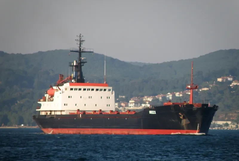 IREEX Bulk Carrier IMO 7740972 photo 5