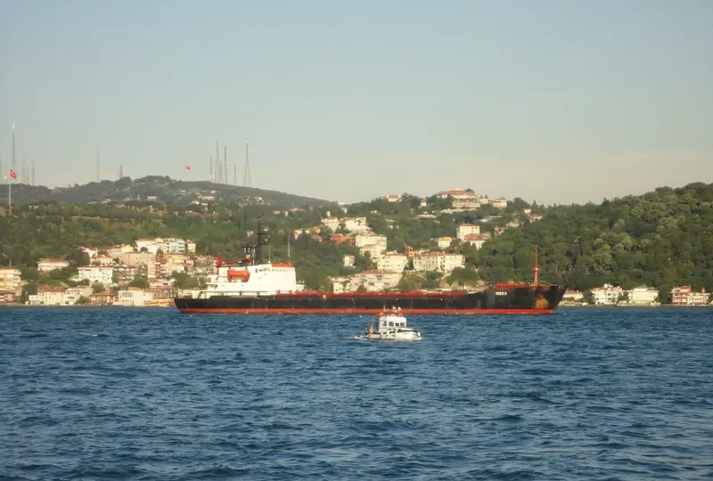 IREEX Bulk Carrier IMO 7740972 photo 6