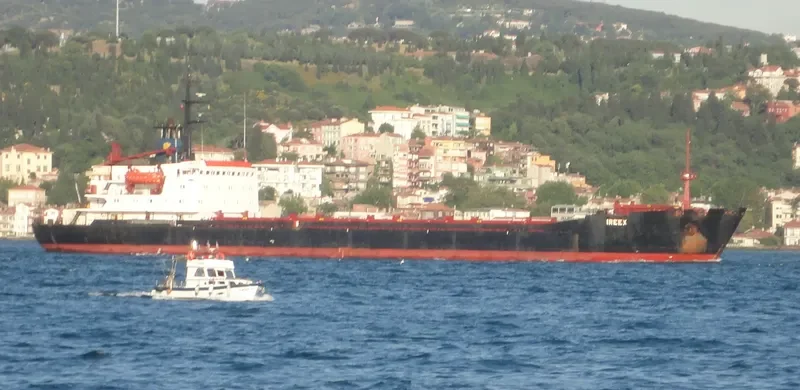 IREEX Bulk Carrier IMO 7740972 photo 7