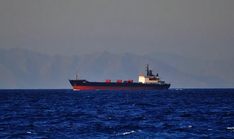 IREEX Bulk Carrier IMO 7740972 photo 8