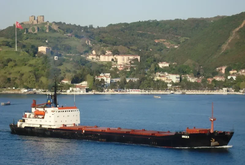 IREEX Bulk Carrier IMO 7740972 photo 10
