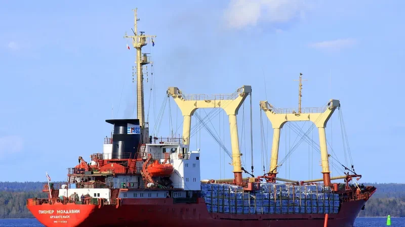 PIONER MOLDAVII General Cargo IMO 7741263 photo 2