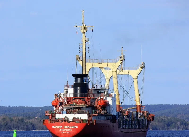 PIONER MOLDAVII General Cargo IMO 7741263 photo 3