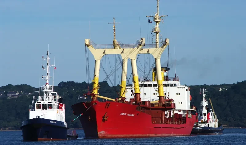 PIONER MOLDAVII General Cargo IMO 7741263 photo 4