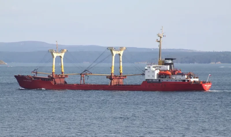 PIONER MOLDAVII General Cargo IMO 7741263 photo 6