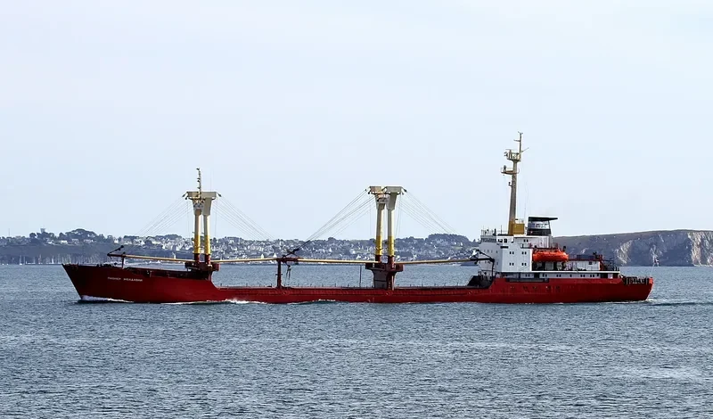PIONER MOLDAVII General Cargo IMO 7741263 photo 8