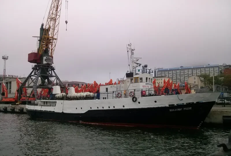 VLADIMIR RODIK Passenger Vessel IMO 7741471
