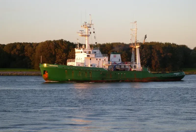 PANTANASSA General Cargo IMO 7741861 photo 4