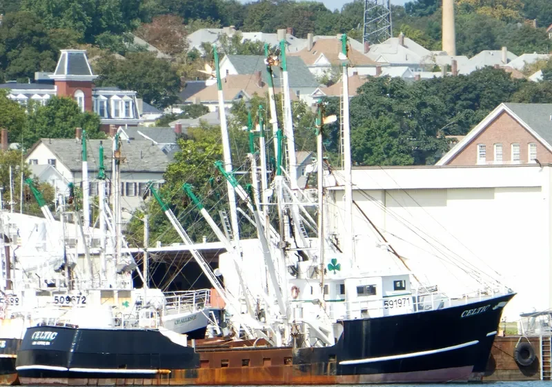 CELTIC General Cargo IMO 7742619