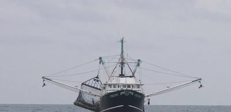 CELTIC General Cargo IMO 7742619 photo 3