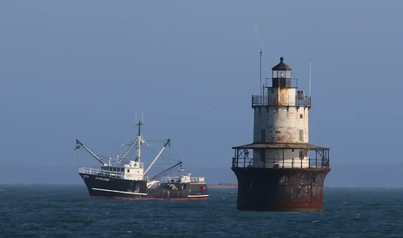 CELTIC General Cargo IMO 7742619 photo 8