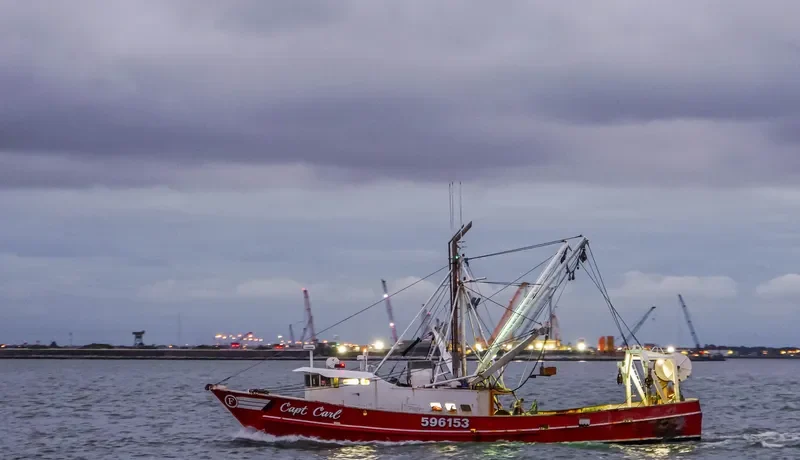 CAPT CARL General Cargo IMO 7743663