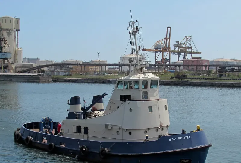 BSV SCOTIA General Cargo IMO 7800021 photo 3