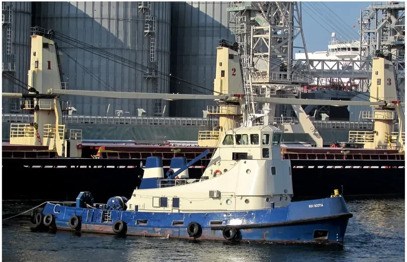 BSV SCOTIA General Cargo IMO 7800021 photo 7