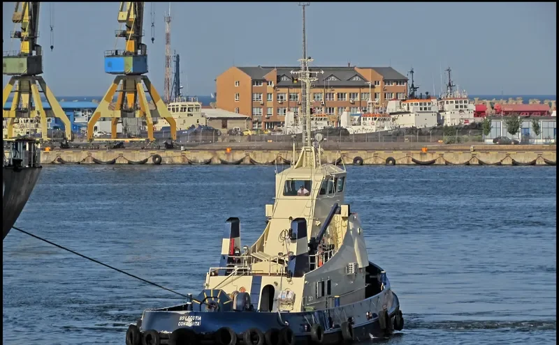 BSV SCOTIA General Cargo IMO 7800021 photo 8