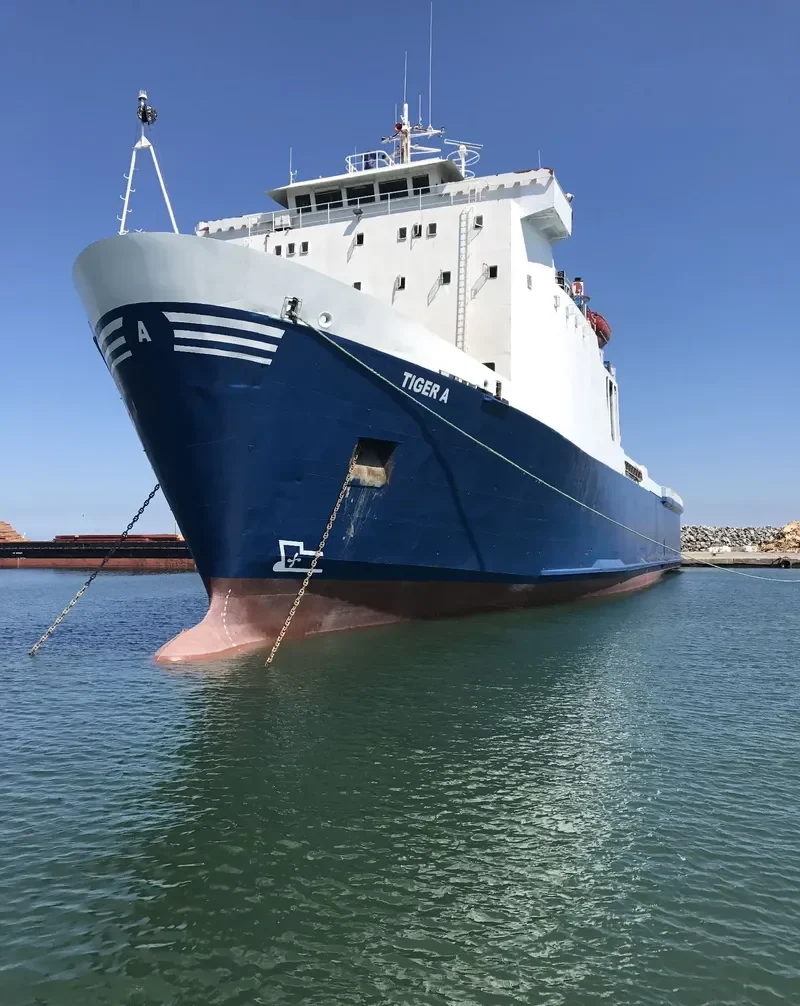 LUCCELLO Ro-Ro IMO 7800112