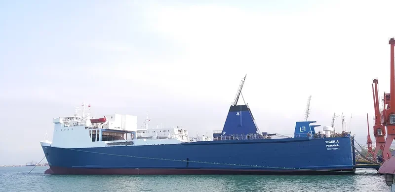 LUCCELLO Ro-Ro IMO 7800112 photo 3