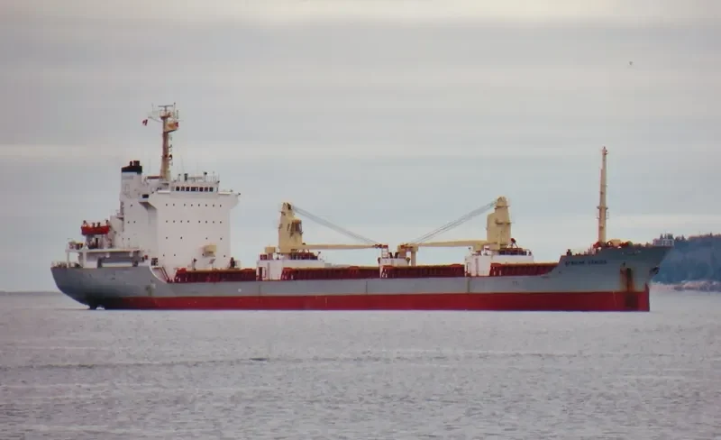 AFRICAN AZALEA Bulk Carrier IMO 7800368