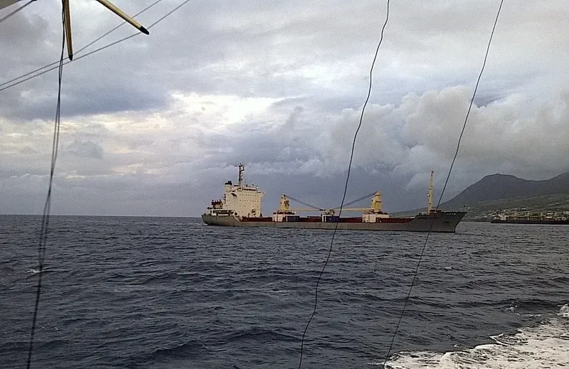 AFRICAN AZALEA Bulk Carrier IMO 7800368 photo 3
