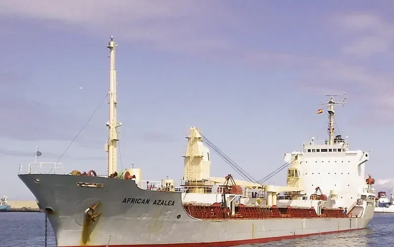 AFRICAN AZALEA Bulk Carrier IMO 7800368 photo 4