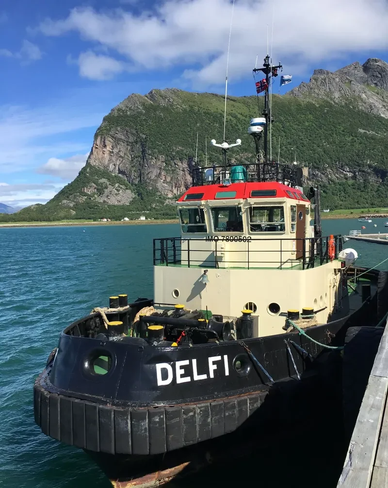 DELFI General Cargo IMO 7800502 photo 2