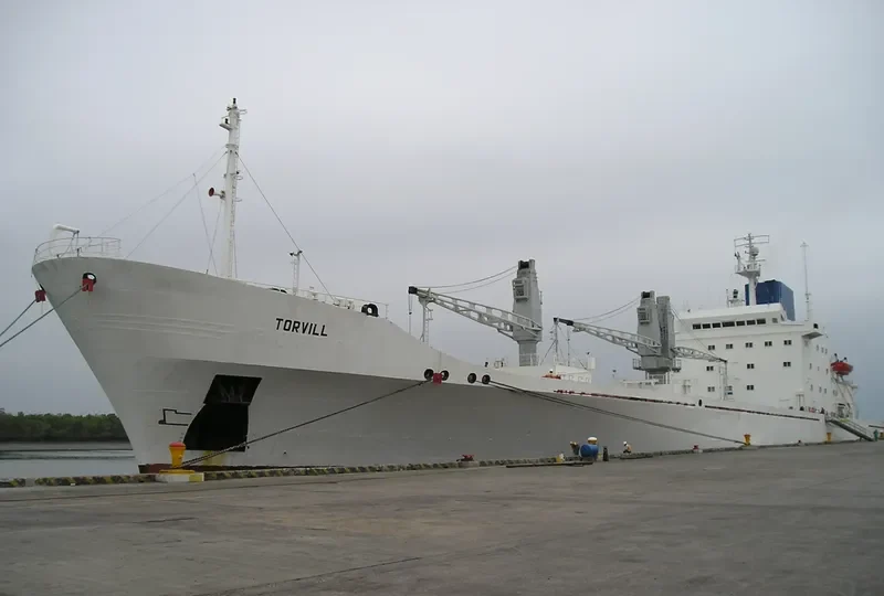 TORVILL General Cargo IMO 7800590 photo 2