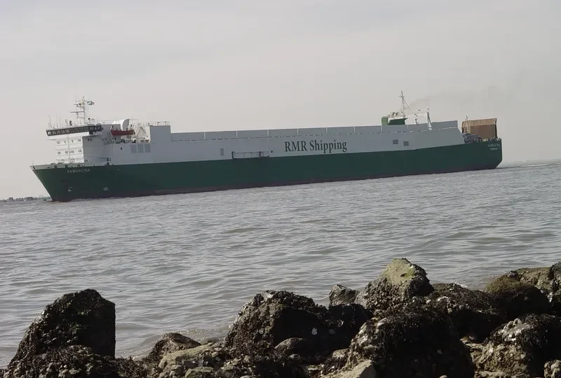 DUANA Ro-Ro IMO 7800758 photo 10