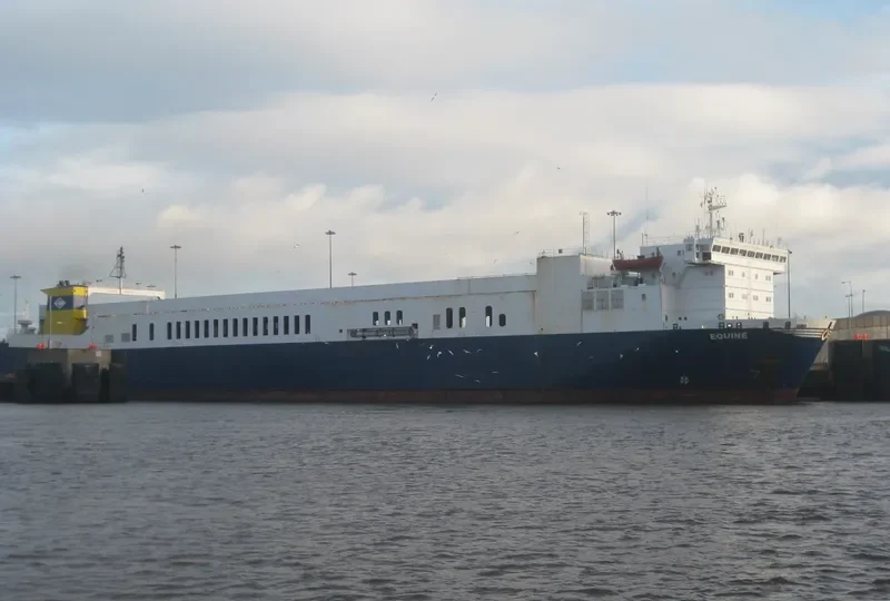 WINNER 6 Ro-Ro IMO 7800760 photo 2