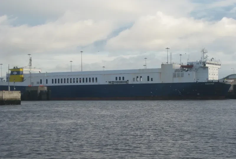 WINNER 6 Ro-Ro IMO 7800760 photo 3