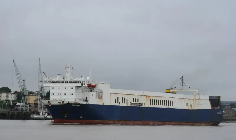 WINNER 6 Ro-Ro IMO 7800760 photo 9