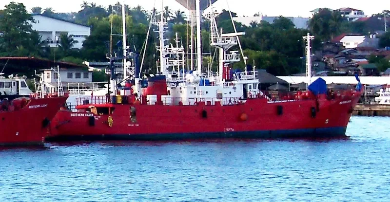 SOUTHERN CROSS General Cargo IMO 7801427 photo 2