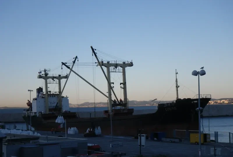 COSTIS General Cargo IMO 7801570 photo 7