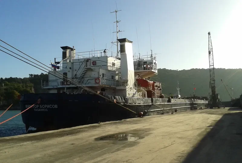 VIKTOR BORISOV General Cargo IMO 7801908 photo 4