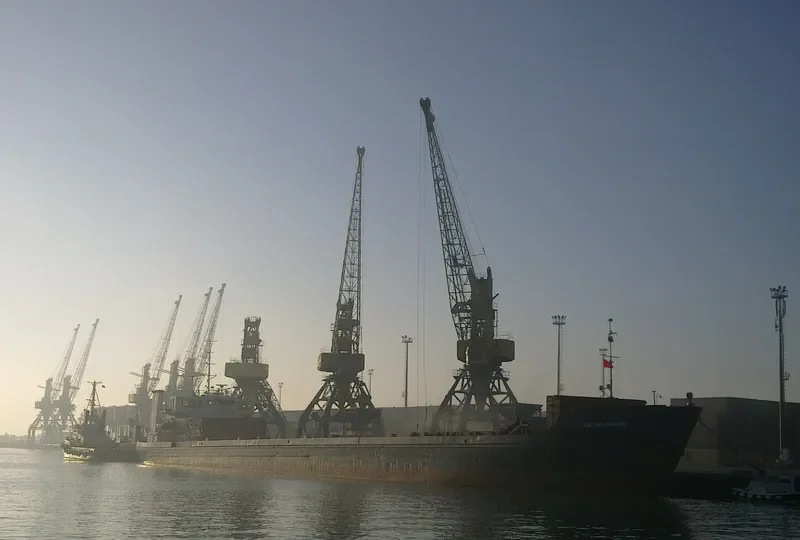 VIKTOR BORISOV General Cargo IMO 7801908 photo 6